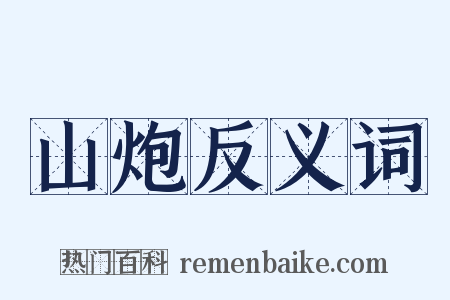 山炮反义词是什么意思的图片